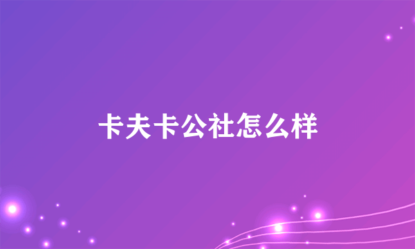 卡夫卡公社怎么样