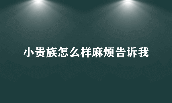 小贵族怎么样麻烦告诉我