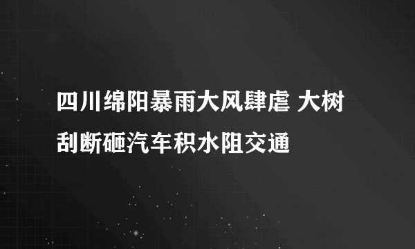 四川绵阳暴雨大风肆虐 大树刮断砸汽车积水阻交通