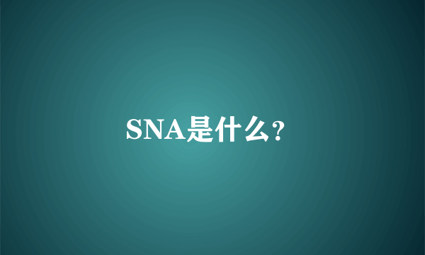 SNA是什么？