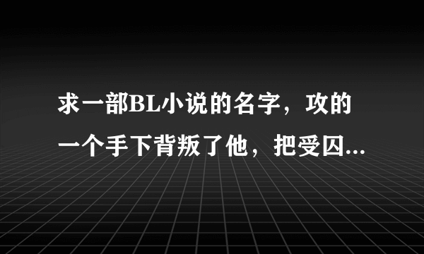 求一部BL小说的名字，攻的一个手下背叛了他，把受囚禁在攻办公室隔壁房间，公用的那面墙上装着一面双面镜