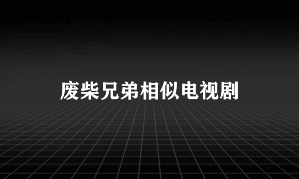 废柴兄弟相似电视剧