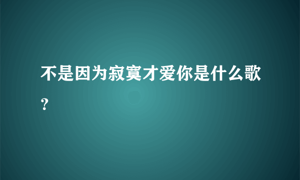 不是因为寂寞才爱你是什么歌？