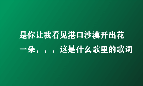 是你让我看见港口沙漠开出花一朵，，，这是什么歌里的歌词