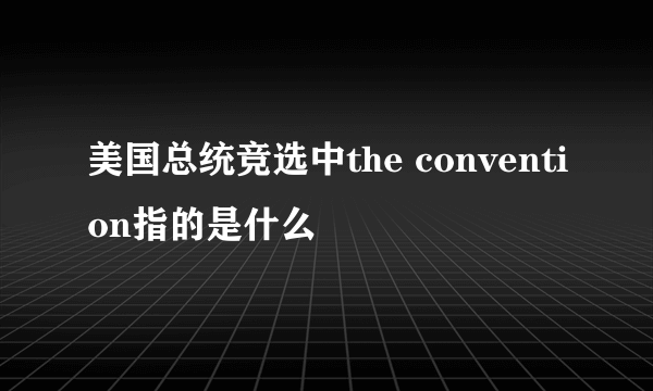 美国总统竞选中the convention指的是什么