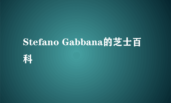 Stefano Gabbana的芝士百科