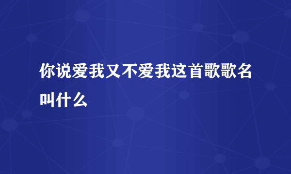 你说爱我又不爱我这首歌歌名叫什么