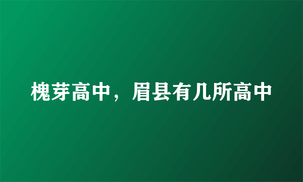 槐芽高中，眉县有几所高中