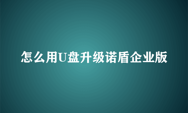 怎么用U盘升级诺盾企业版