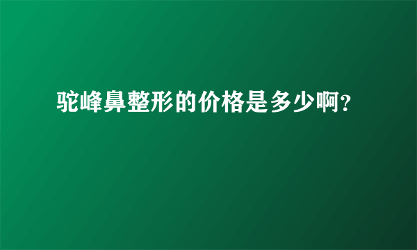 驼峰鼻整形的价格是多少啊？