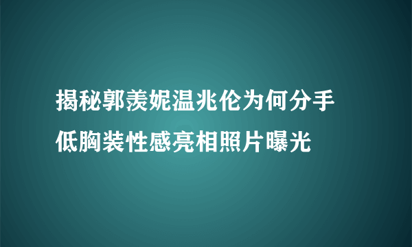 揭秘郭羡妮温兆伦为何分手 低胸装性感亮相照片曝光