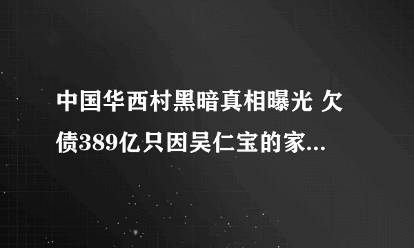 中国华西村黑暗真相曝光 欠债389亿只因吴仁宝的家天下管理(2)