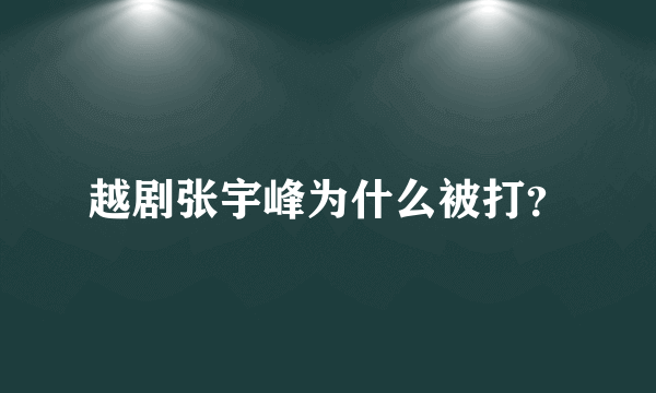 越剧张宇峰为什么被打？