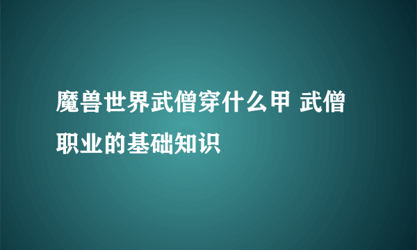 魔兽世界武僧穿什么甲 武僧职业的基础知识