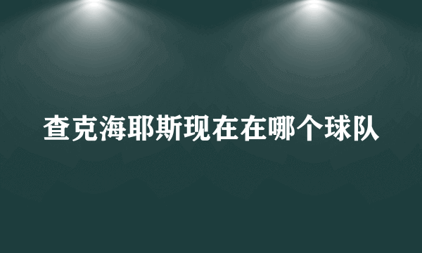 查克海耶斯现在在哪个球队