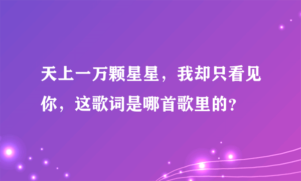 天上一万颗星星，我却只看见你，这歌词是哪首歌里的？