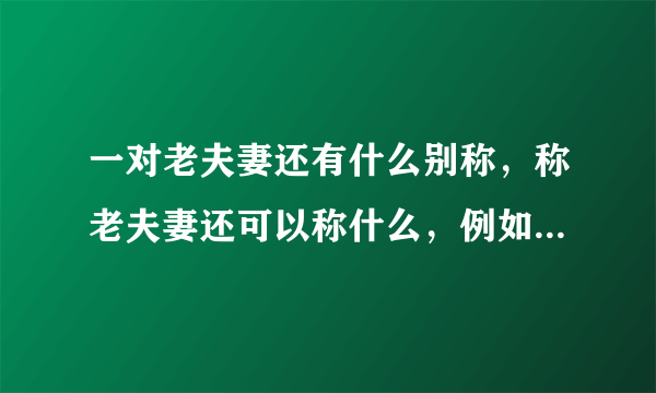 一对老夫妻还有什么别称，称老夫妻还可以称什么，例如伉俪等等？