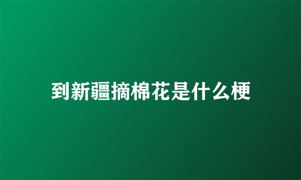 到新疆摘棉花是什么梗