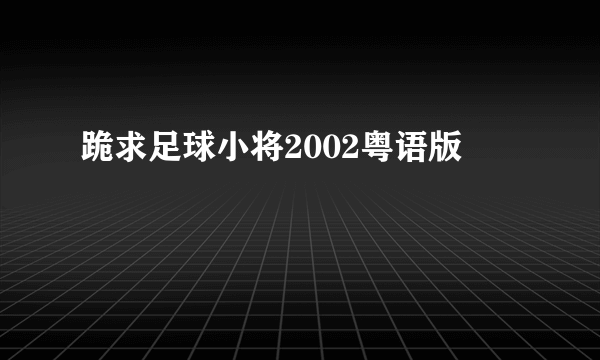 跪求足球小将2002粤语版