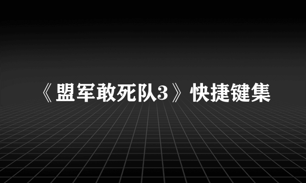 《盟军敢死队3》快捷键集