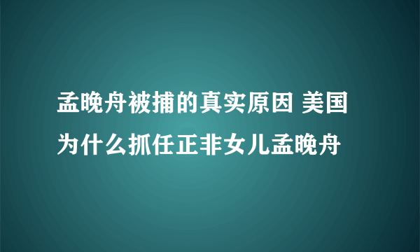 孟晚舟被捕的真实原因 美国为什么抓任正非女儿孟晚舟