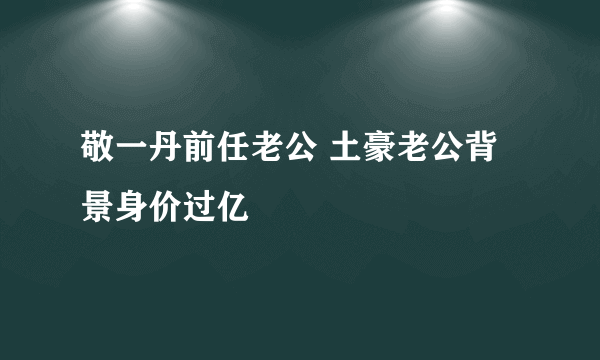 敬一丹前任老公 土豪老公背景身价过亿