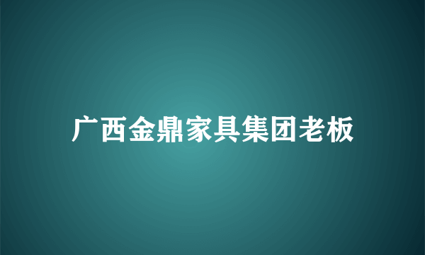 广西金鼎家具集团老板