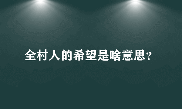 全村人的希望是啥意思？