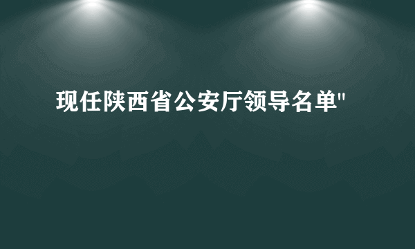 现任陕西省公安厅领导名单