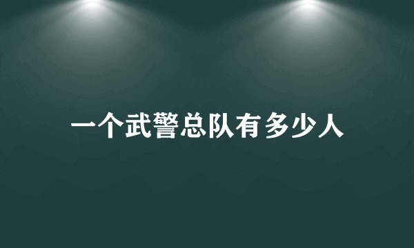 一个武警总队有多少人