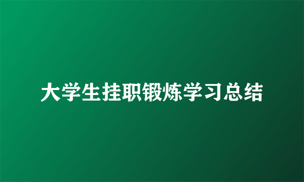 大学生挂职锻炼学习总结