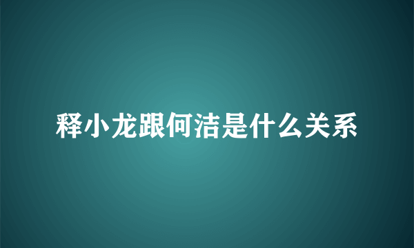 释小龙跟何洁是什么关系