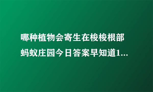 哪种植物会寄生在梭梭根部 蚂蚁庄园今日答案早知道11月23日