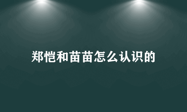 郑恺和苗苗怎么认识的