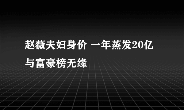 赵薇夫妇身价 一年蒸发20亿与富豪榜无缘