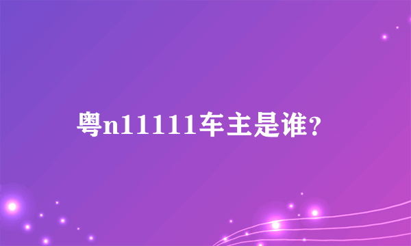 粤n11111车主是谁？