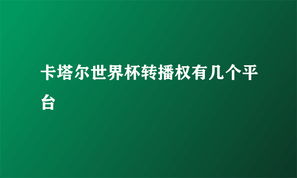 卡塔尔世界杯转播权有几个平台