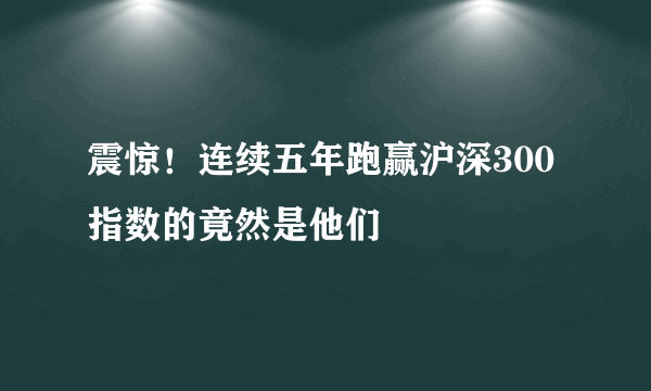 震惊！连续五年跑赢沪深300指数的竟然是他们