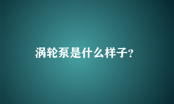 涡轮泵是什么样子？