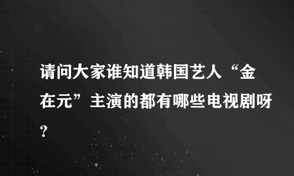 请问大家谁知道韩国艺人“金在元”主演的都有哪些电视剧呀？