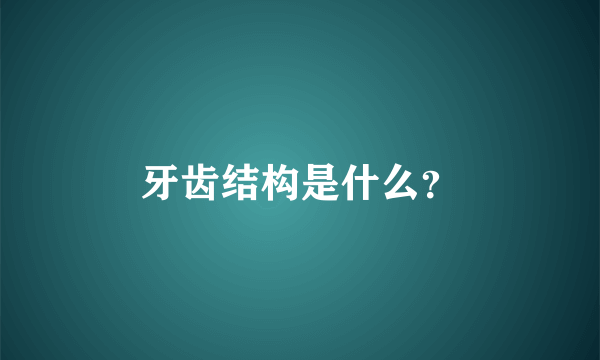 牙齿结构是什么？