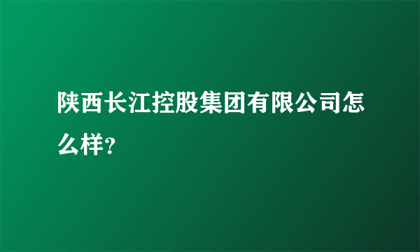 陕西长江控股集团有限公司怎么样？