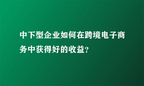 中下型企业如何在跨境电子商务中获得好的收益？