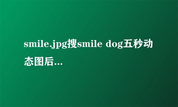 smile.jpg搜smile dog五秒动态图后悔了（背后有故事）