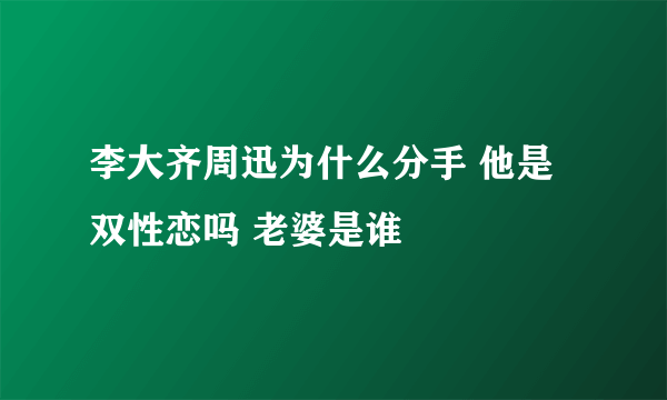 李大齐周迅为什么分手 他是双性恋吗 老婆是谁