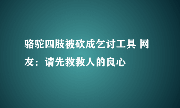 骆驼四肢被砍成乞讨工具 网友：请先救救人的良心