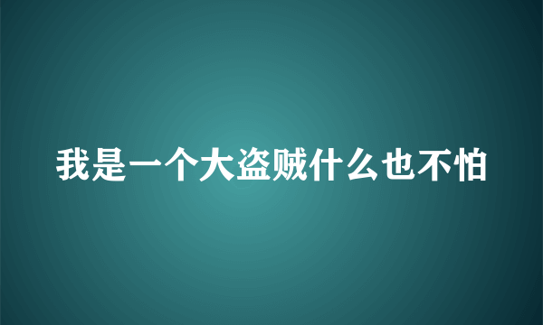 我是一个大盗贼什么也不怕