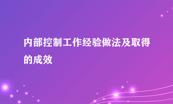 内部控制工作经验做法及取得的成效