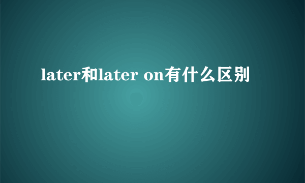 later和later on有什么区别