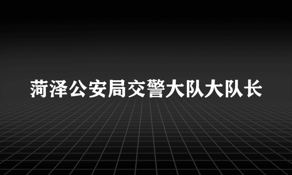 菏泽公安局交警大队大队长